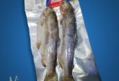 Mahik fish and shrimp packaging and processing factory